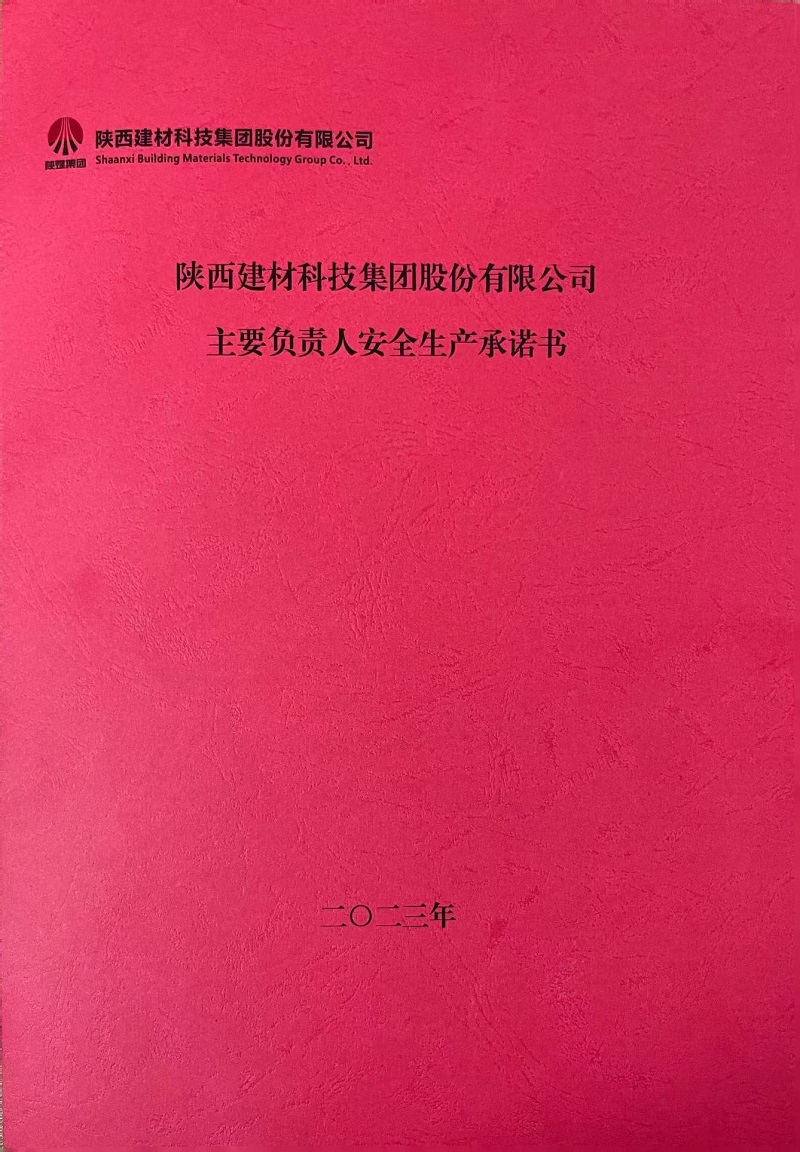 陜西建材科技集團(tuán)股份有限公司主要負(fù)責(zé)人安全生產(chǎn)承諾書1